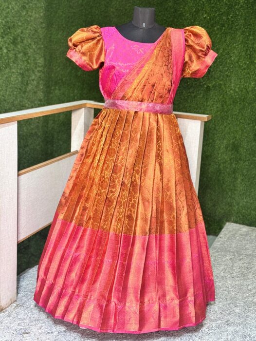 D227 Saree pattern maxi