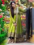D382 Narayanpet Cotton Maxi