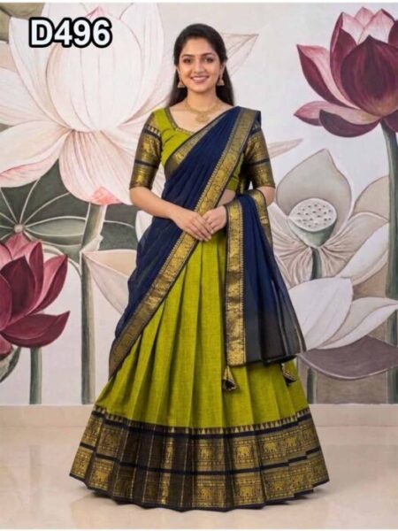 D496 Half Saree