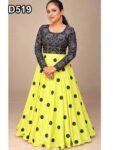 D519  Anarkali